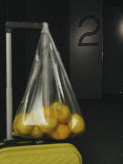 11 : img_9 - Nutrition and travel